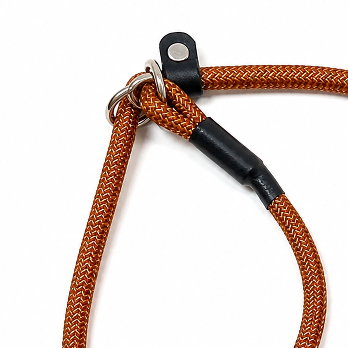 Metal ring and connector detail of nylon dog leash